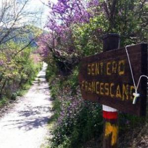 La Sosta B&B Stroncone Exterior foto